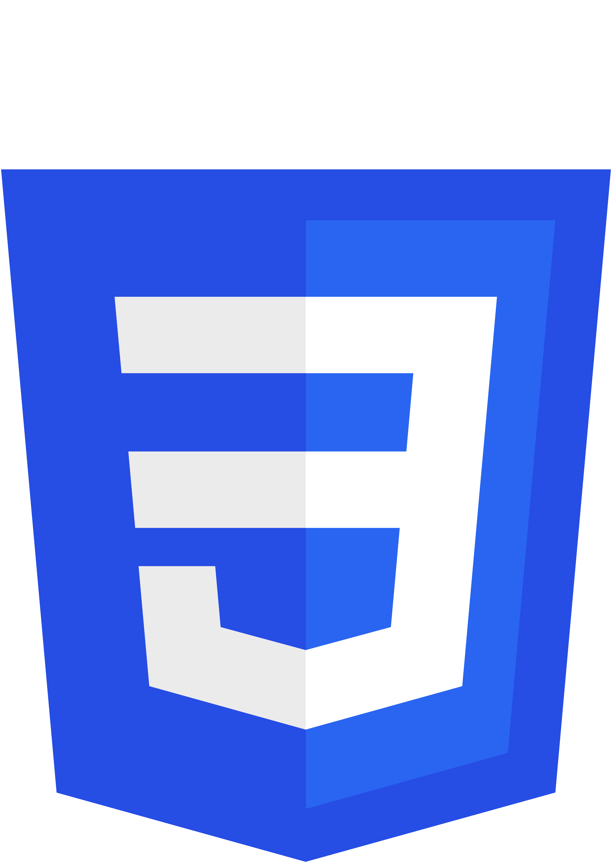 picture of css3 logo